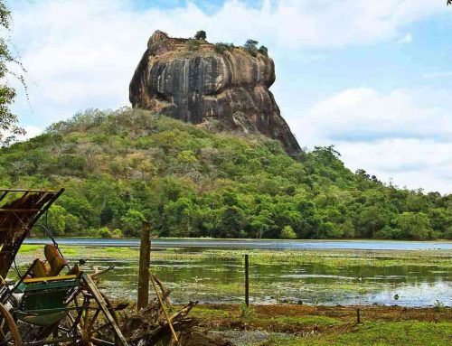 Sigiriya Loin Rock