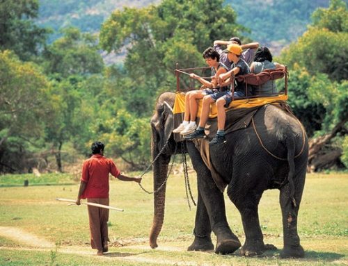 My Sri Lanka Tour